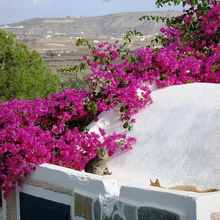 מלון דירות Paradise Akrotírion